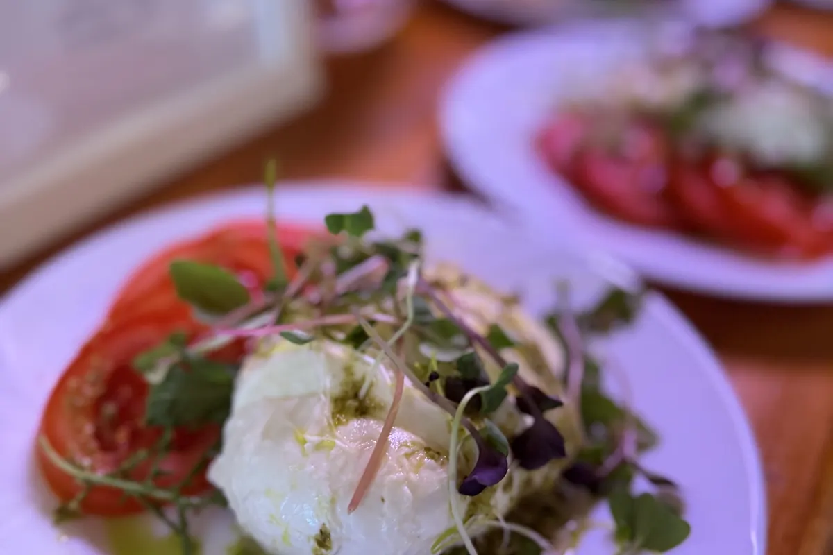 Burrata s rajčaty a bazalkovým pestem